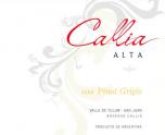 0 Bodegas Callia - Alta Pinot Grigio